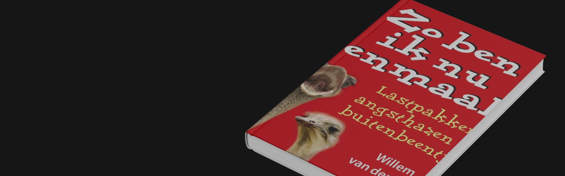 Zo ben ik nu eenmaal: Omgaan met persoonlijkheidstypen